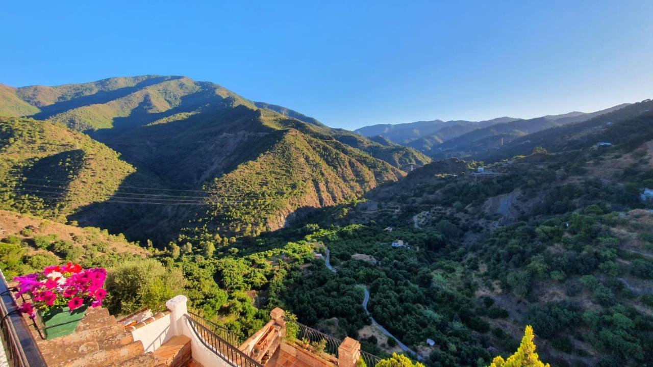 イスタンCasa Verdeアパートメント エクステリア 写真